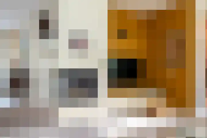 Woerdakkers 4 Gieten thumbnail 15