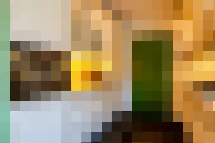Woerdakkers 4 Gieten thumbnail 24