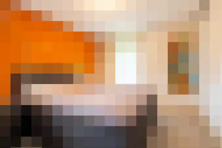 Woerdakkers 4 Gieten thumbnail 29