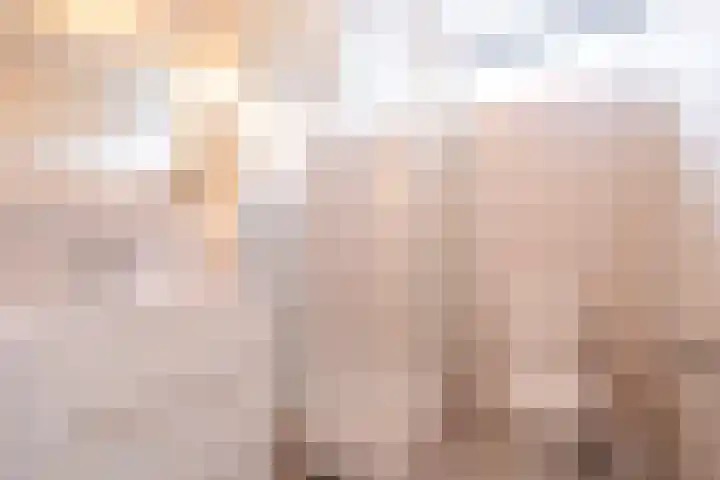 Woerdakkers 4 Gieten thumbnail 32
