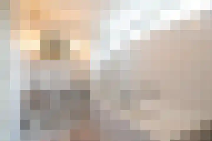 Woerdakkers 4 Gieten thumbnail 37