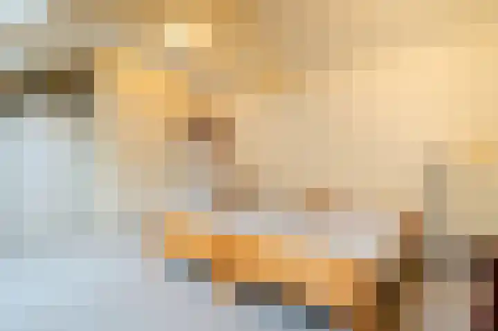 Woerdakkers 4 Gieten thumbnail 40