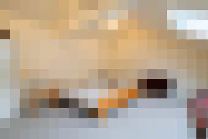 Woerdakkers 4 Gieten thumbnail 41