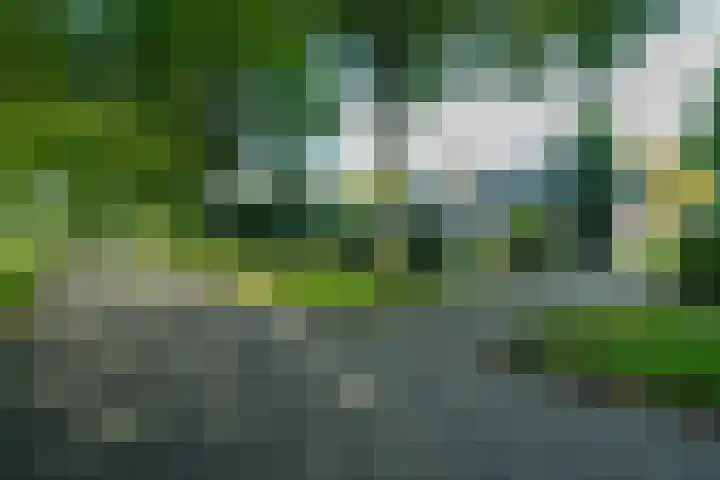 Woerdakkers 4 Gieten thumbnail 5