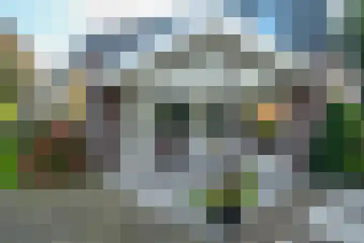 Woerdakkers 4 Gieten thumbnail 50