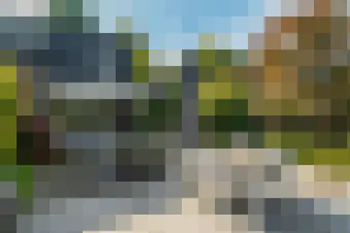 Woerdakkers 4 Gieten thumbnail 53