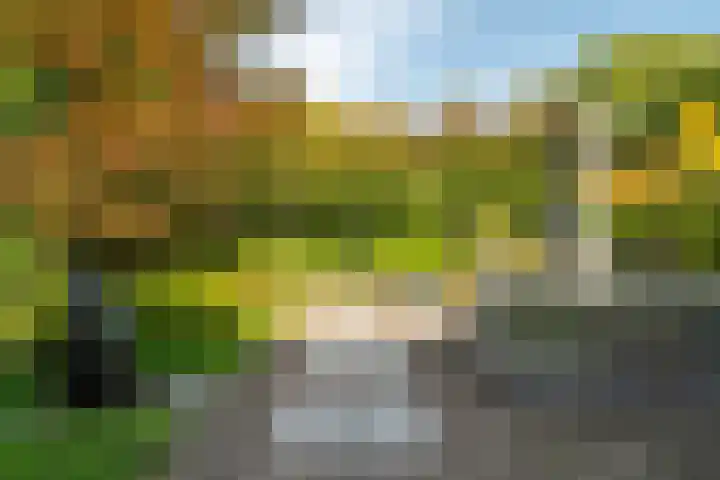 Woerdakkers 4 Gieten thumbnail 55