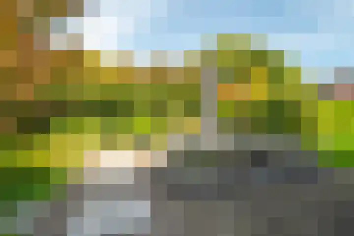 Woerdakkers 4 Gieten thumbnail 56