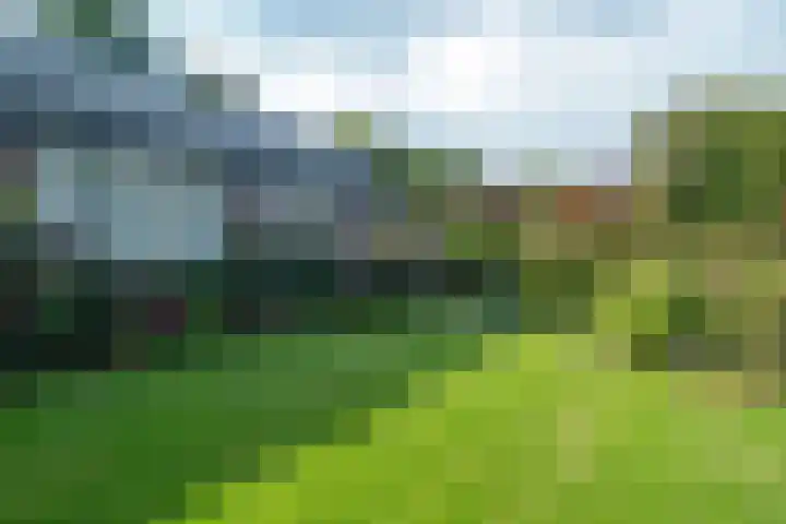 Woerdakkers 4 Gieten thumbnail 58