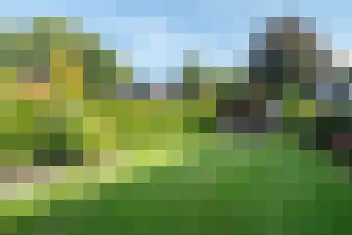 Woerdakkers 4 Gieten thumbnail 59