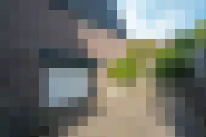 Woerdakkers 4 Gieten thumbnail 60