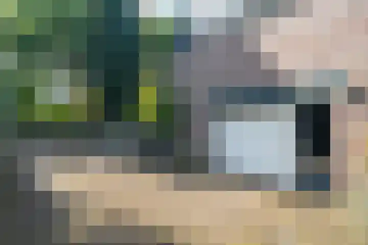 Woerdakkers 4 Gieten thumbnail 63