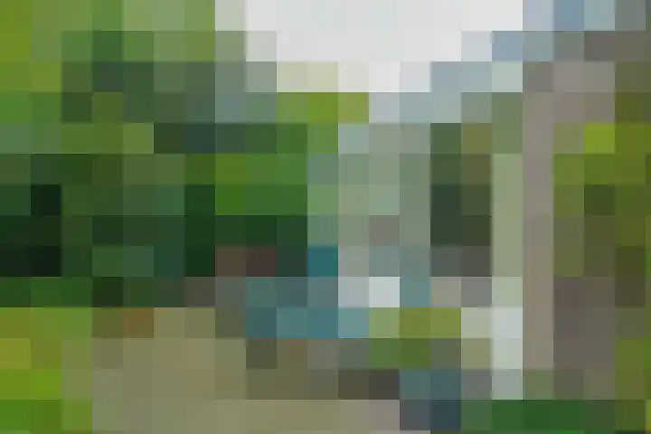 Woerdakkers 4 Gieten thumbnail 65