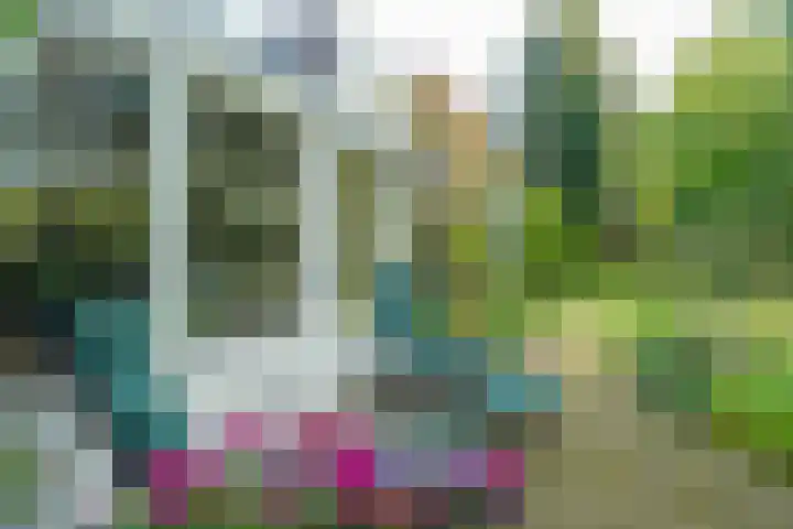 Woerdakkers 4 Gieten thumbnail 66