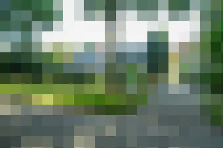 Woerdakkers 4 Gieten thumbnail 67