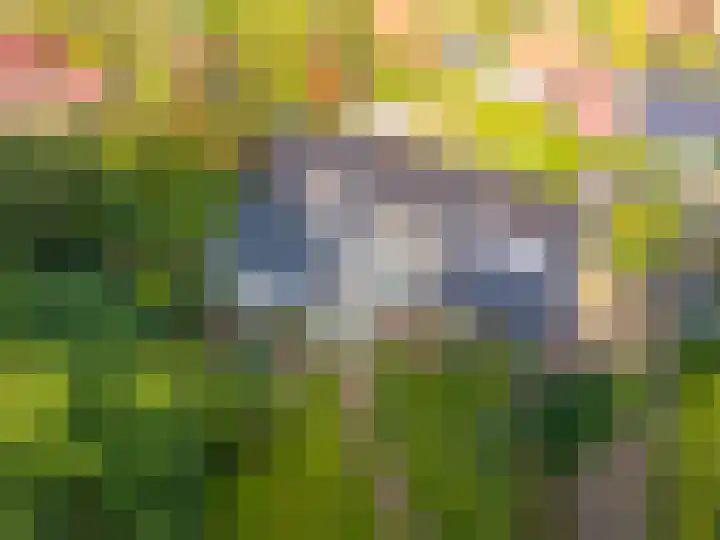 Woerdakkers 4 Gieten thumbnail 68