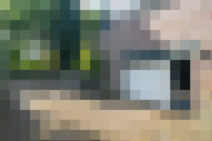 Woerdakkers 4 Gieten thumbnail 69