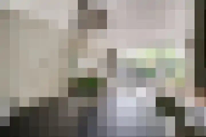 Woerdenpad 4 Arnhem thumbnail 12