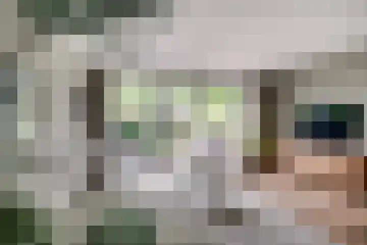 Woerdenpad 4 Arnhem thumbnail 14