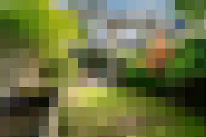 Woerdenpad 4 Arnhem thumbnail 20