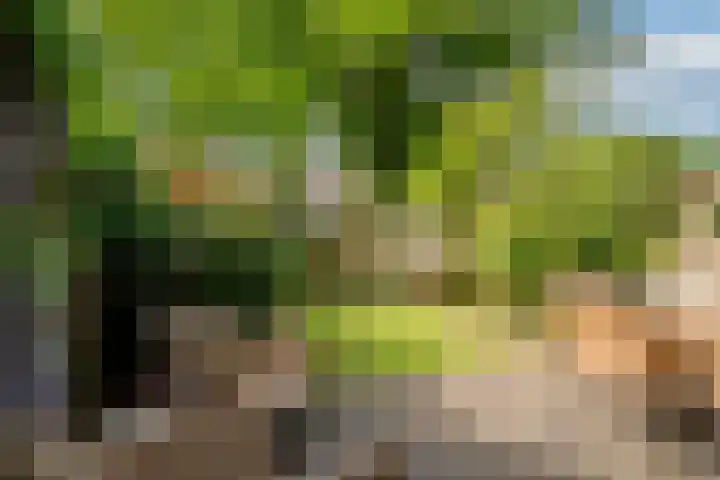 Woerdenpad 4 Arnhem thumbnail 21