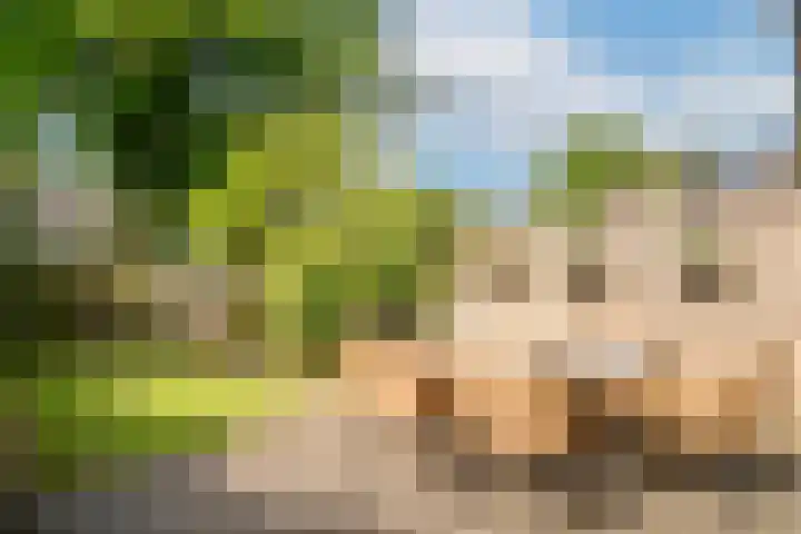 Woerdenpad 4 Arnhem thumbnail 22