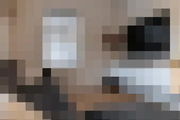 Woerdes 101 Assen thumbnail 11