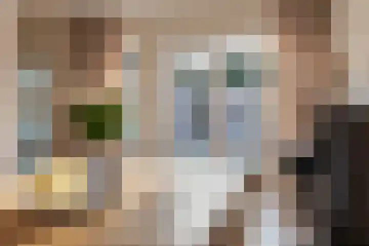 Woerdes 101 Assen thumbnail 14