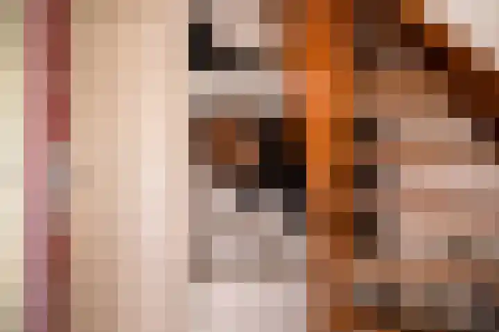 Woerdes 101 Assen thumbnail 7