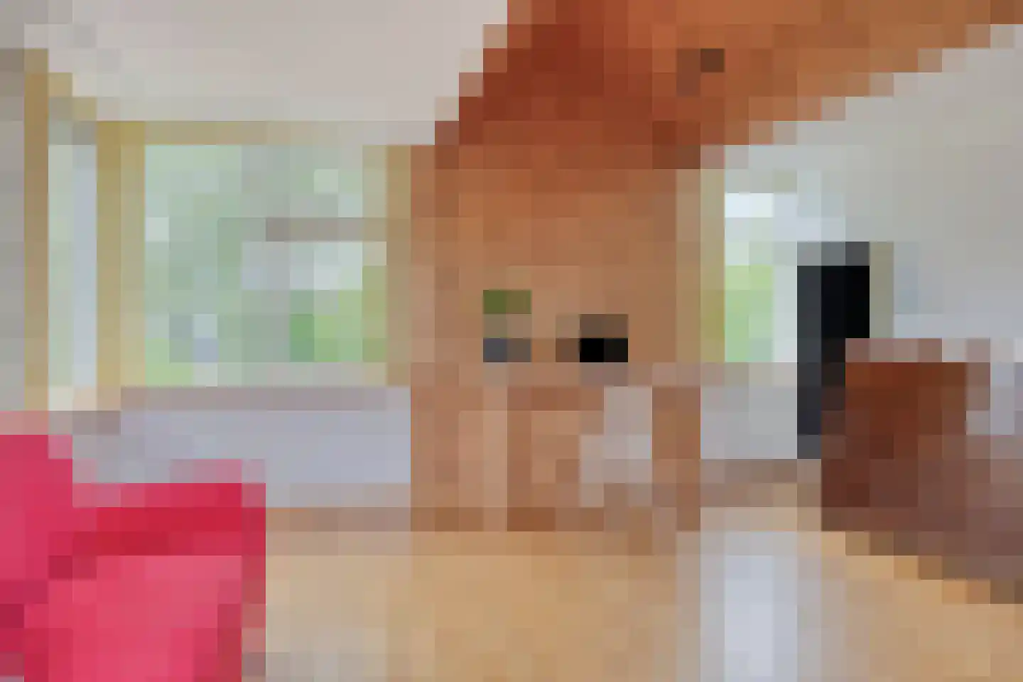 Woerdes 112 Assen thumbnail 33
