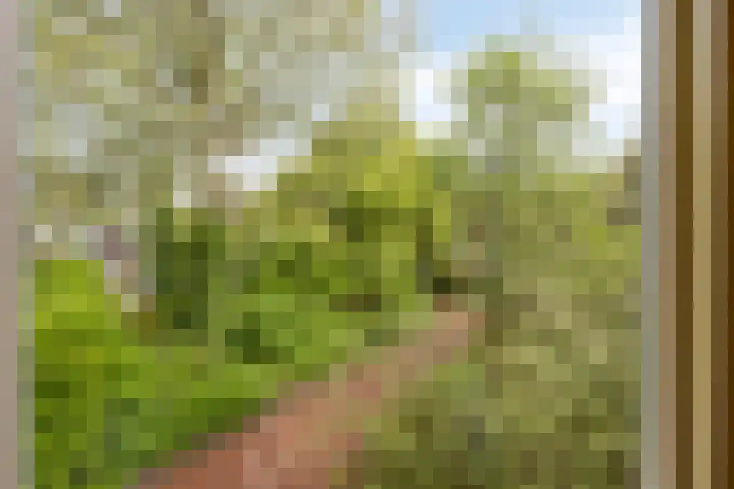 Woerdes 112 Assen thumbnail 49