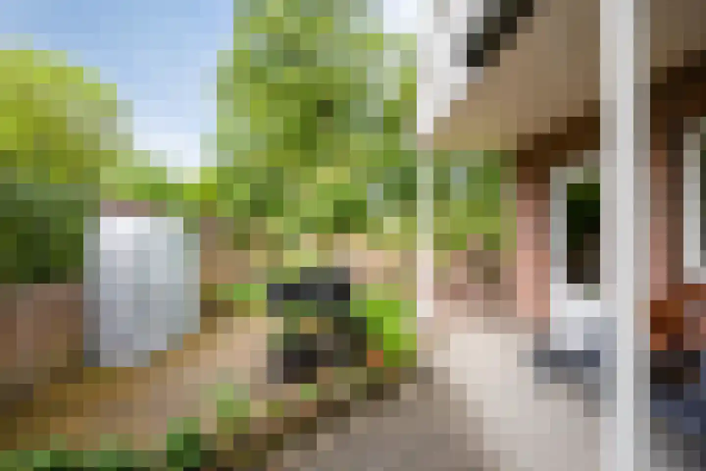 Woerdes 112 Assen thumbnail 56