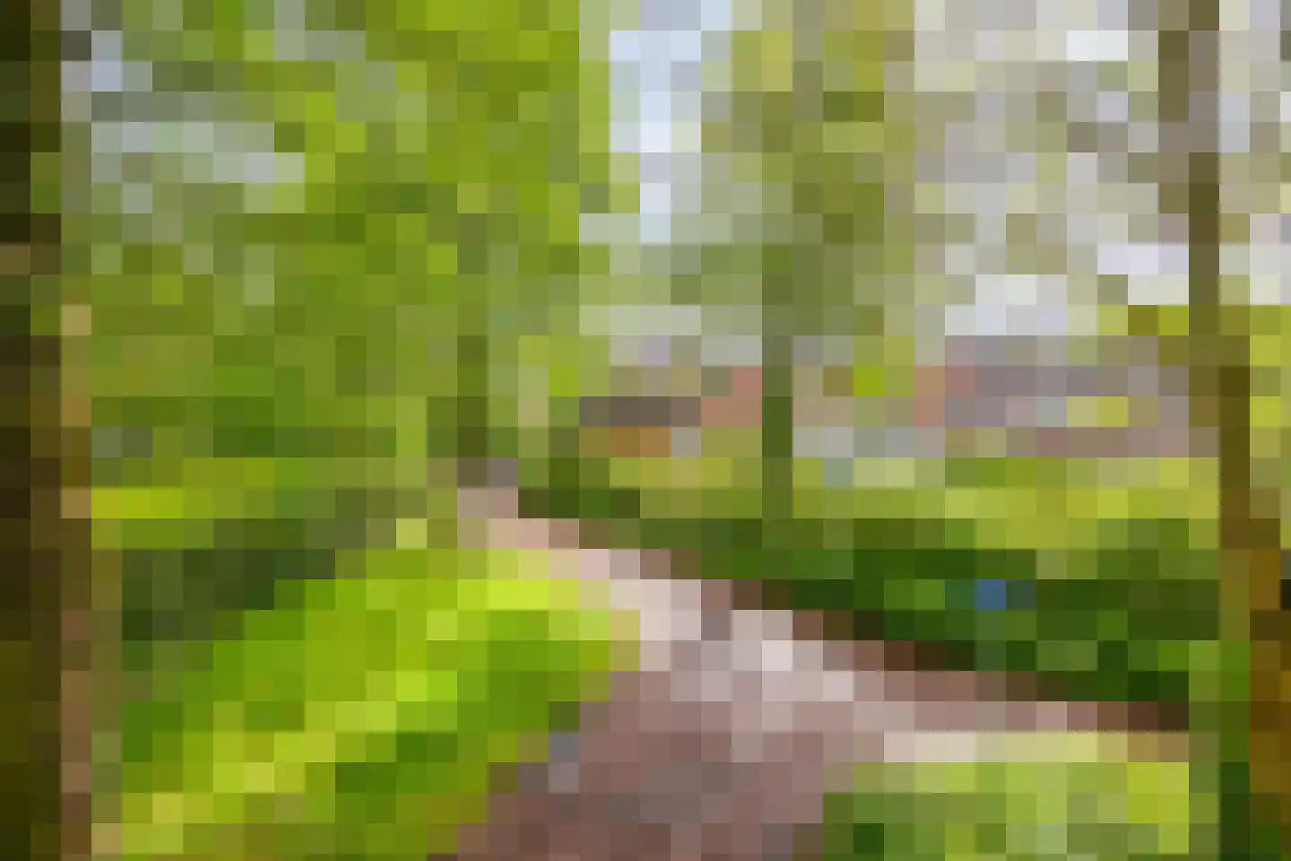 Woerdes 112 Assen thumbnail 59