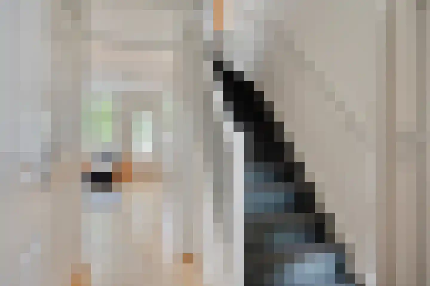 Woerdes 112 Assen thumbnail 6