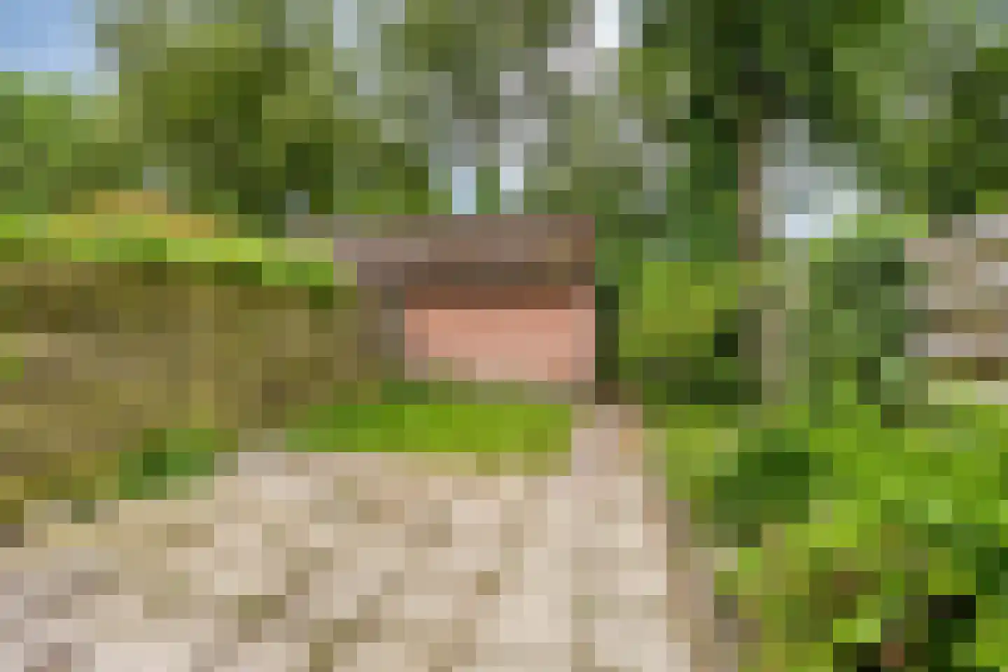 Woerdes 20 Assen thumbnail 11