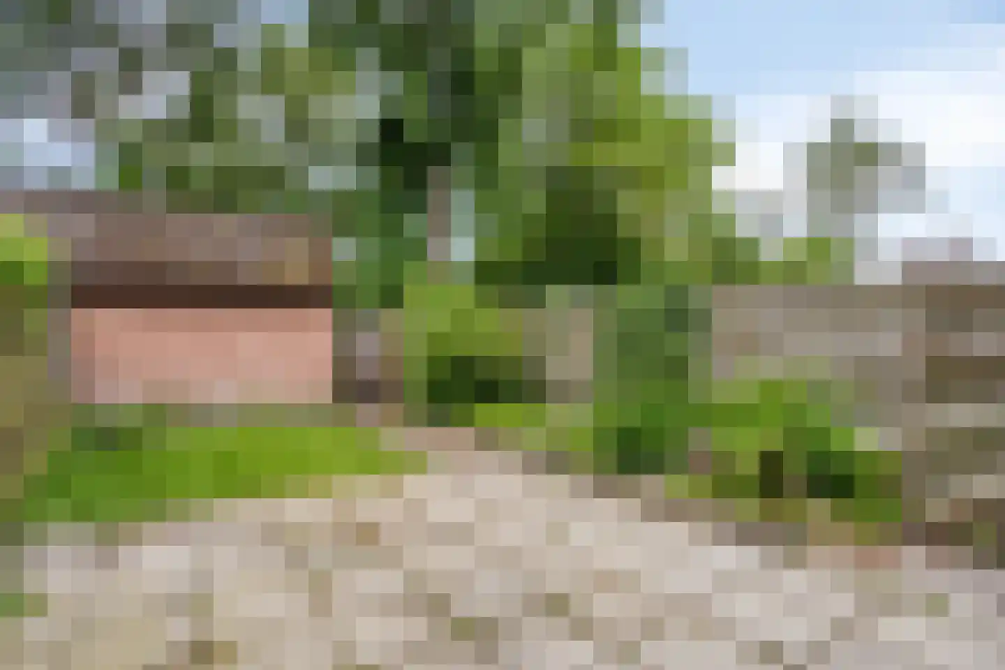 Woerdes 20 Assen thumbnail 12