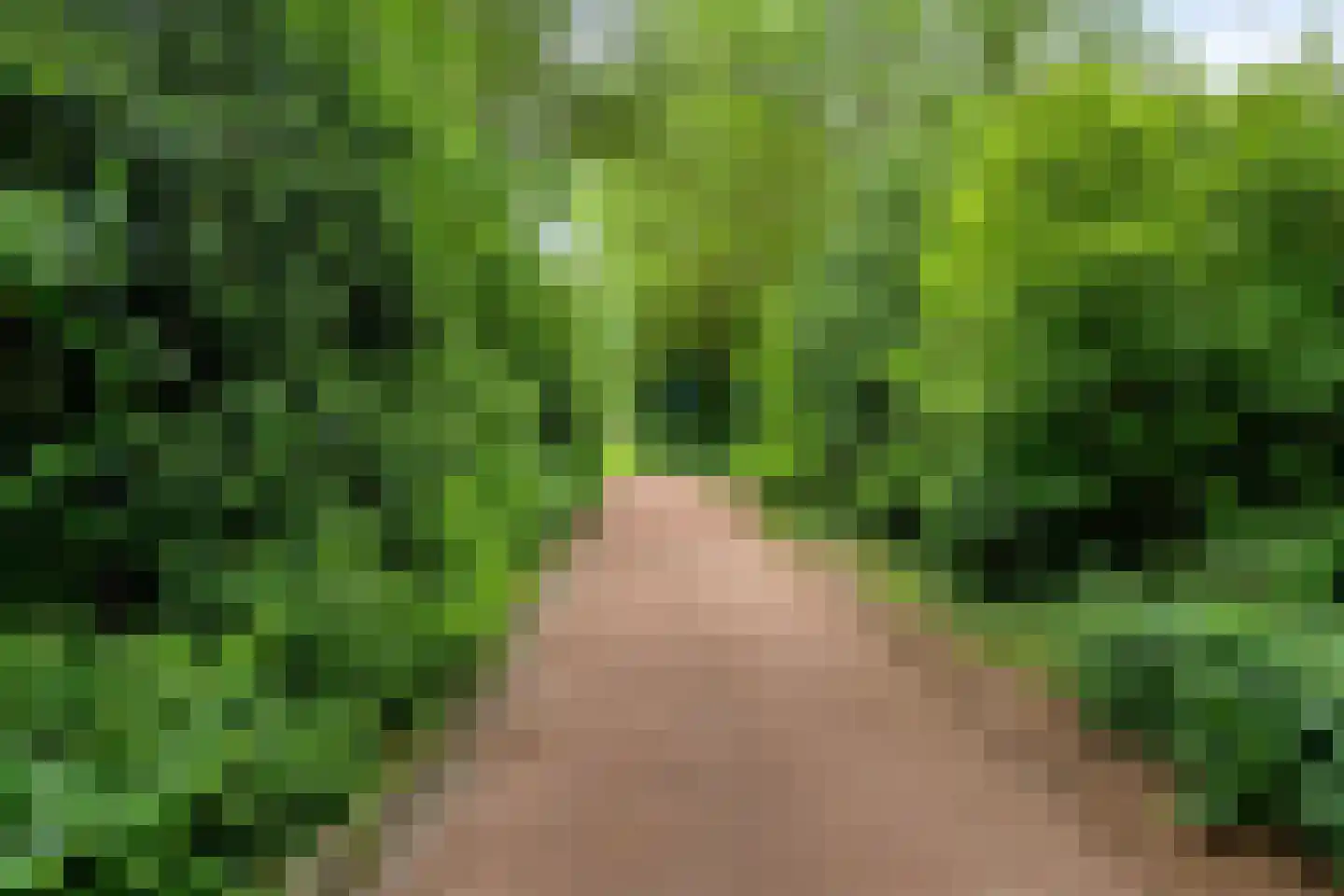 Woerdes 20 Assen thumbnail 25