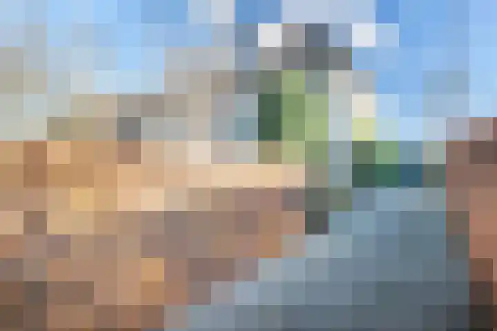 Woerdlaan 7 De Meern thumbnail 38