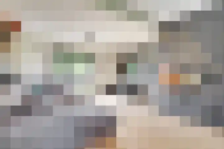 Woerdlaan 8 De Meern thumbnail 11