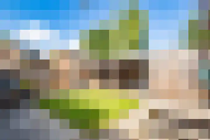 Woerdlaan 8 De Meern thumbnail 39