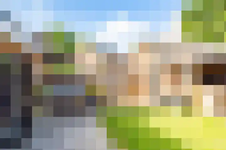 Woerdlaan 8 De Meern thumbnail 41
