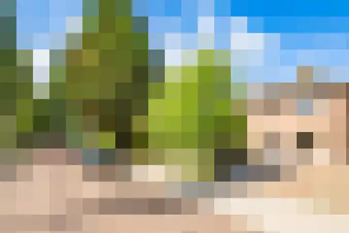 Woerdlaan 8 De Meern thumbnail 49