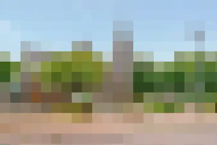 Woerdlaan 8 De Meern thumbnail 52