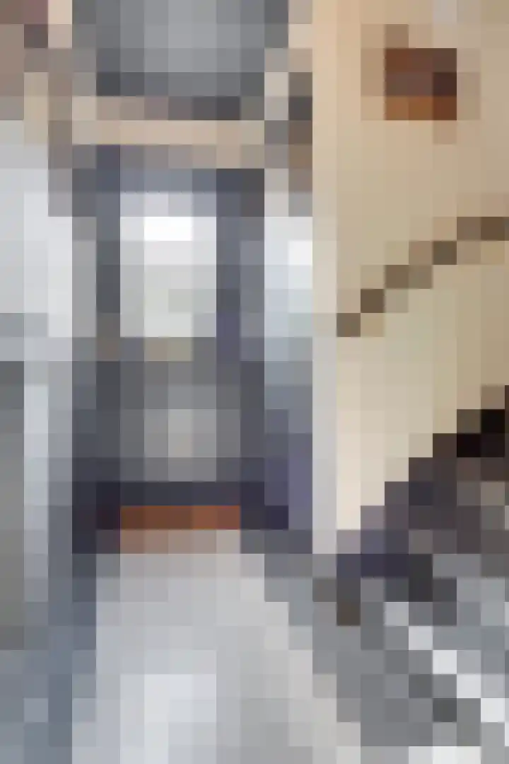 Woerdlaan 8 De Meern thumbnail 6