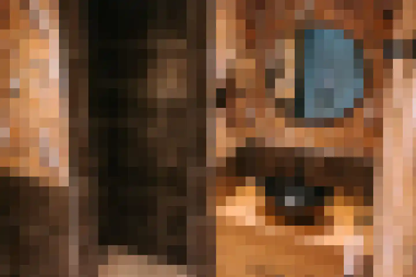 Woerdsestraat 13 Altforst thumbnail 10