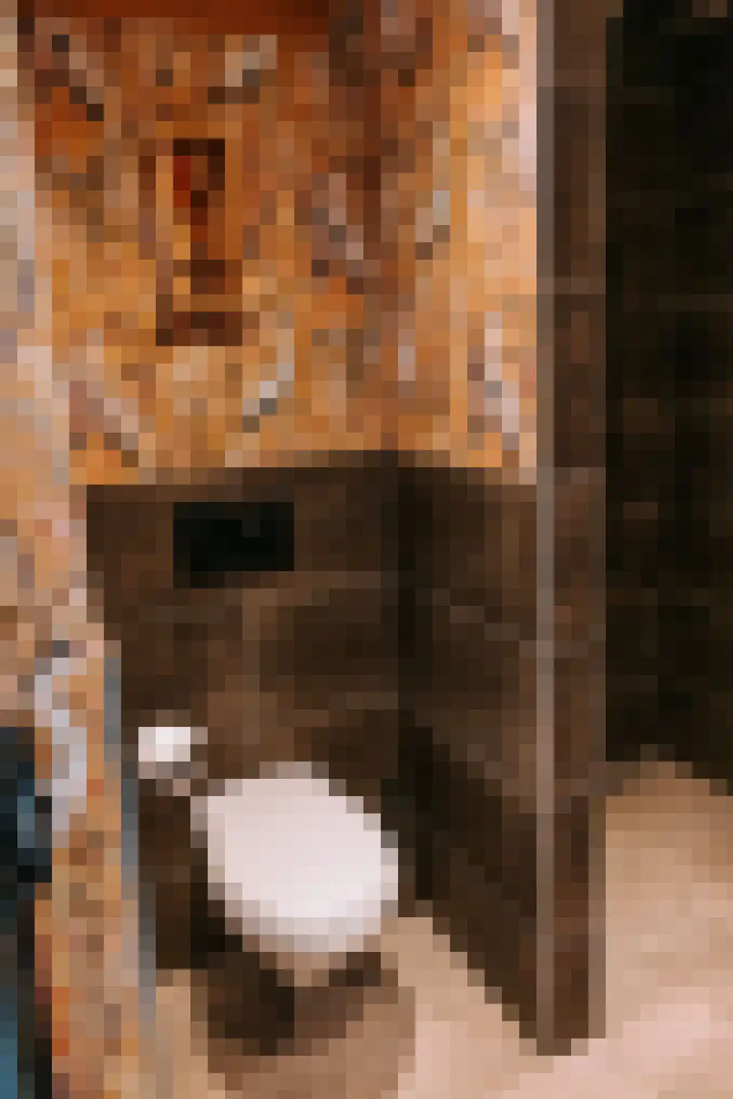 Woerdsestraat 13 Altforst thumbnail 12