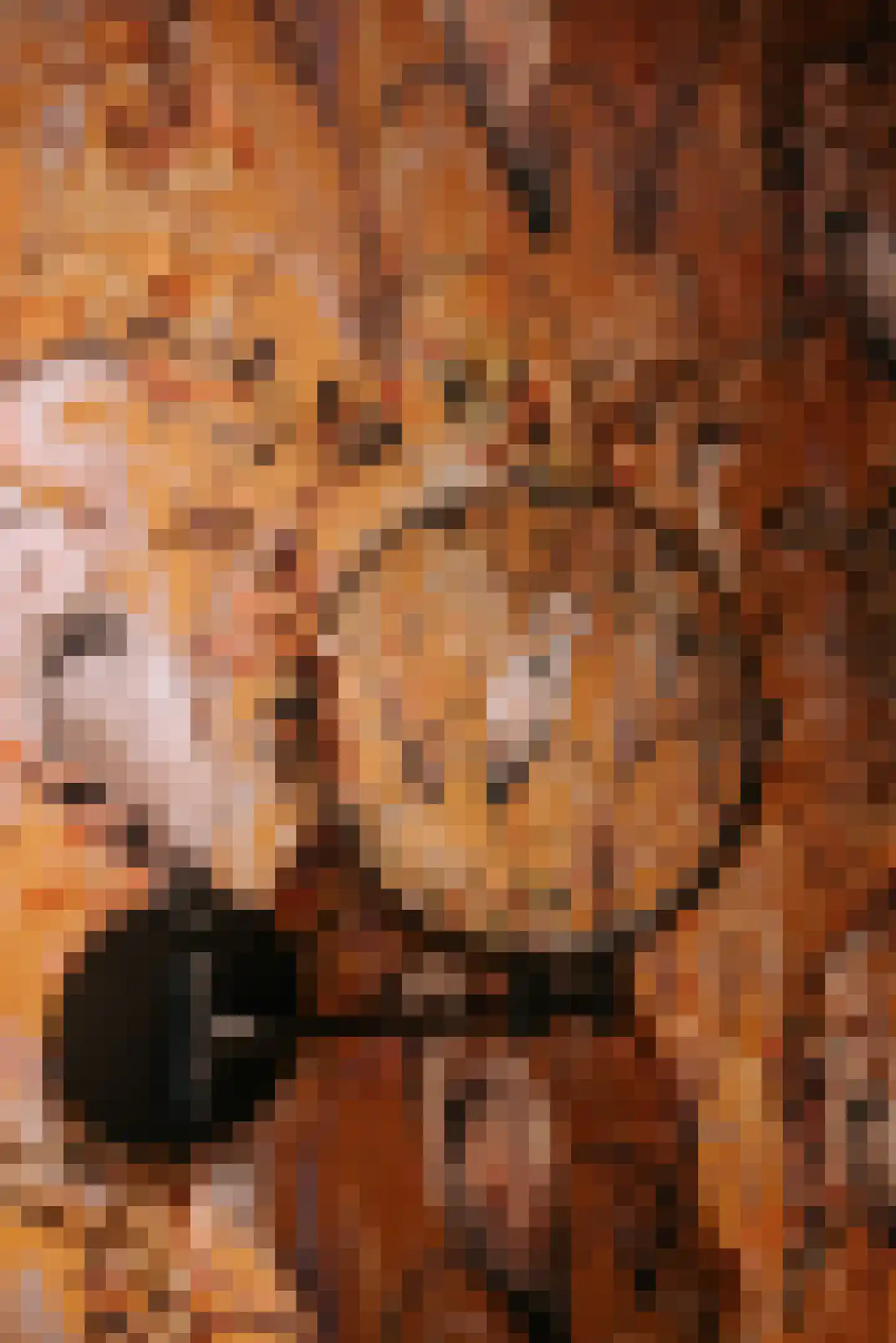 Woerdsestraat 13 Altforst thumbnail 13