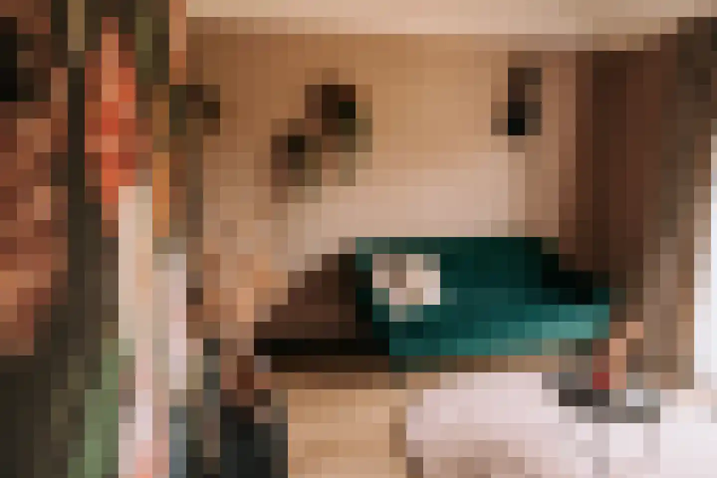 Woerdsestraat 13 Altforst thumbnail 15