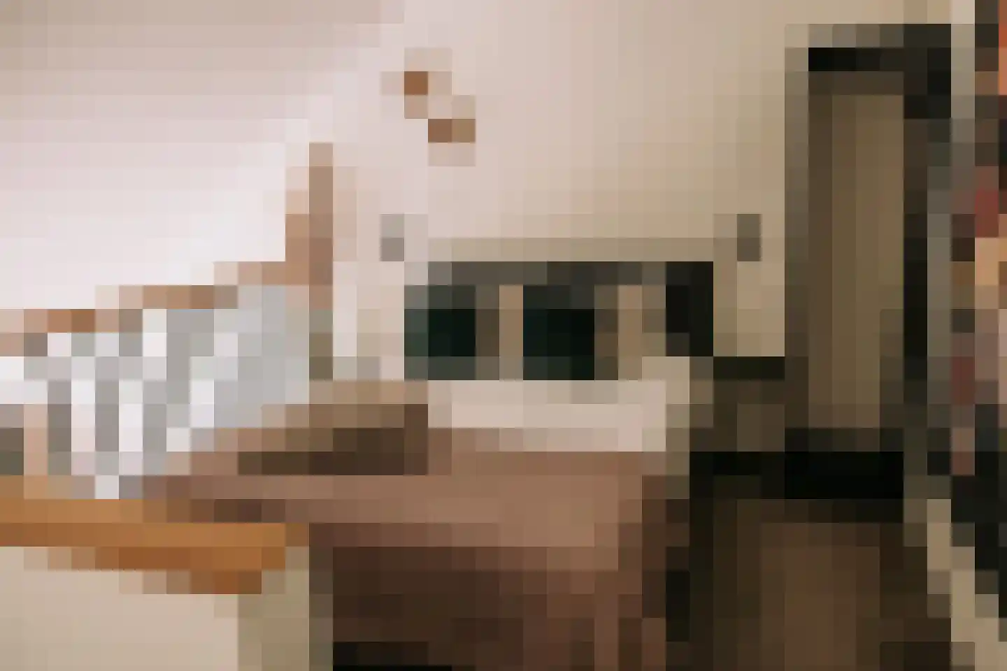Woerdsestraat 13 Altforst thumbnail 17