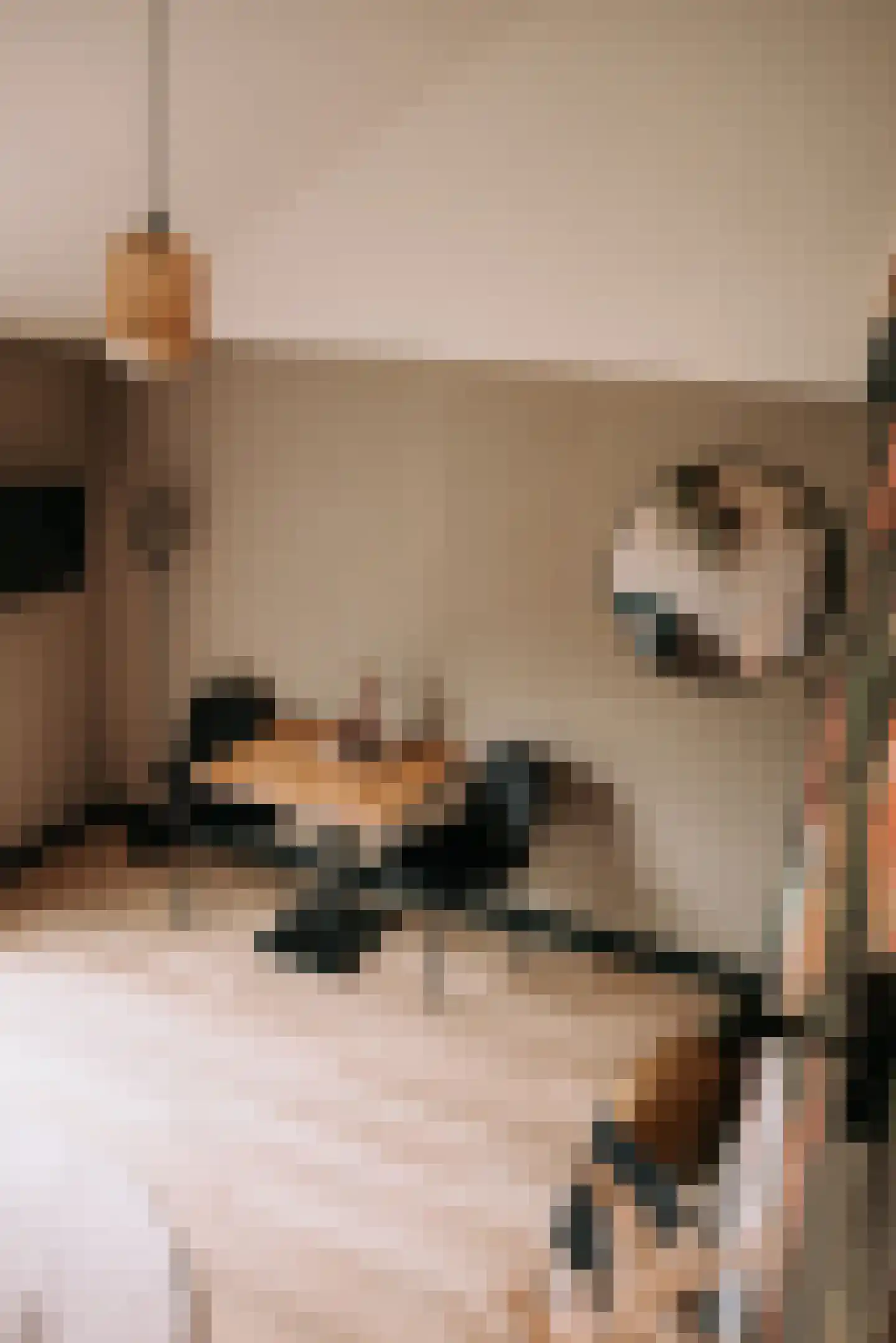 Woerdsestraat 13 Altforst thumbnail 18